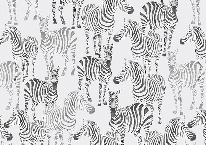 Zebra Zeal, Mono - Roller Blind - Image 6